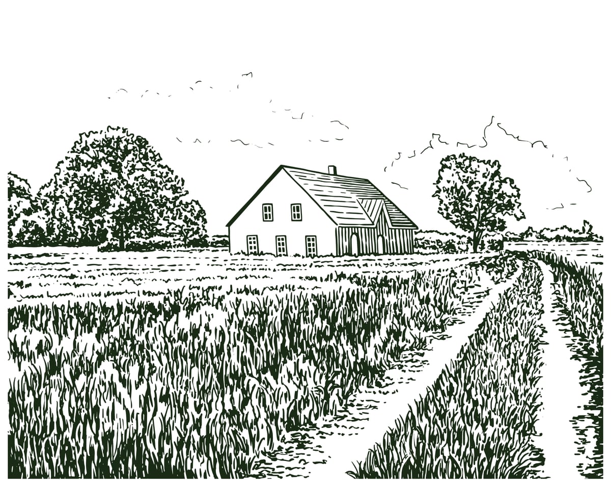 Illustration of a farmhouse with a narrow dirt path leading toward it, framed by fields and trees; evokes return, structure, and a way back in.