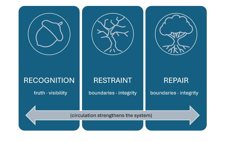 Diagram of Convivial Systems Theory showing Recognition, Restraint, and Repair, with arrows indicating that circulation among the three strengthens system resilience.